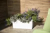 PFLANZKAST Bewässerungs-Blumenkasten „Berberis DUO“ Produktbild-Vorschau 14
