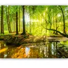 murimage Fototapete Wald 366 x 254 cm inklusive Kleister Produktbild-Vorschau 2