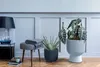 A stylish interior scene with two potted plants, a stool with a blanket, and a lamp. Anteprima dell’immagine prodotto