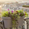 Balkon Geländer Blumentopf oval - grau / 60 cm - Geländer Produktbild-Vorschau 7