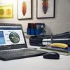 DELL WM126 Maus kabellos schwarz Produktbild-Vorschau 14