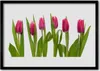 Bild 100x70 MDF-Rahmen Wandkunst Tulpen Blumen Pflanze Produktbild-Vorschau 1