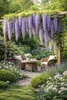 Wisteria floribunda ‘Naga Noda’ 180–200 cm – Japanischer Produktbild-Vorschau 1