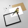 Gerahmtes Poster - Schwarzer Rahmen - Stieglitz Vogel Produktbild-Vorschau 4
