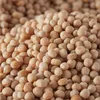 Senfkörner gelb, ganz, Senfsaat mit nussigem Geschmack, Produktbild-Vorschau 4