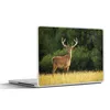 MuchoWow® Laptop Aufkleber Sticker Cover Hirsch - Geweih - Produktbild-Vorschau 1