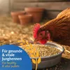 Mangime per galline in fase di crescita Leimüller, 25 kg Anteprima dell’immagine prodotto 2