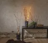 Decorative LED willow branches in pots, placed on a bench with plants and books, against a textured wall. Podgląd zdjęcia produktu