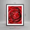 Gerahmtes Poster - Schwarzer Rahmen - Rose Blume Produktbild-Vorschau 5