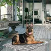 Hundematte, Katzenmatte - Reversibel Hundebett für Mittlere Produktbild-Vorschau 7