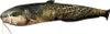 Cuscino Energoteam Catfish Oro Oro Taglia Unica Anteprima dell’immagine prodotto 3