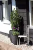 A decorative planter with a plant and flowers sits next to a white chair on a gravel path in front of a dark wooden house. Náhľad obrázku produktu