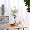12 pièces de vase en verre ，Décoration de la maison vase de Voir les images du produit 10