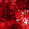 Bouquet con 7 garofani Garofani rossi Fiori artificiali Anteprima dell’immagine prodotto 5