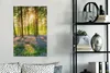 MuchoWow® - Leinwandbilder - Frühling - Wald - Sonne, Produktbild-Vorschau 5