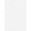 A sheet of graph paper with three punched holes on the left side. Produktbild-Vorschau