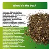 Greenyp Schmetterlingstreff Blumenmischung I 100g für 100m² Produktbild-Vorschau 4