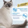 Churu Cat, alimento húmedo para gatos, sabor a pollo con Vista previa de la imagen del producto 8