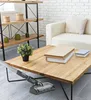 Genius Invictus ONE 3.0e Handstaubsauger Boden-Set 3-TLG. – Produktbild-Vorschau 2