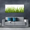 Tulup Leinwand-Bilder 125x50 Wandbild Canvas Kunstdruck Produktbild-Vorschau 3
