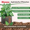 LENI Hydrokultur Komplett-Set mit Blumentopf Kulturtopf Produktbild-Vorschau 3