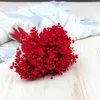 Glixia Getrocknete - (Glixia Marcela) - Rot Produktbild-Vorschau 2