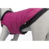 TRIXIE Arlay, pelo di cane, XXS 21cm, mirtillo Anteprima dell’immagine prodotto 10