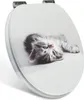A toilet seat with a printed image of a kitten. Produktbild-Vorschau