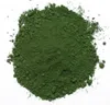 Eisenoxid Grün Pigment 1kg Pulver für Betonmasse, Putze, Produktbild-Vorschau 2