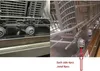 INF Roulettes de panier inférieur pour lave-vaisselle Bosch Voir les images du produit 6