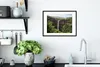 MuchoWow® MuchoWow® Gerahmtes Poster Tropisch - Wasserfall Produktbild-Vorschau 4