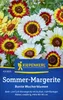 Kiepenkerl Sommer-Margeritensamen Bunte Wucherblumen Produktbild-Vorschau 3