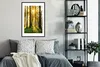 MuchoWow® Gerahmtes Poster Wald - Sonne - Bäume - Gras - Produktbild-Vorschau 2
