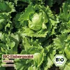 Samenliebe  Salat Samen | Eiskönigin - knackig - Produktbild-Vorschau 4