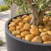 80 kg de piedras de río pulidas, grava para jardín, piedras Vista previa de la imagen del producto 5