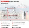 Telefunken Trekking E-Bike | Elektrofahrrad 28 Zoll | Produktbild-Vorschau 11