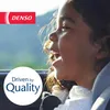 Stieracia lišta DENSO DF-001 Náhľad obrázku produktu 9