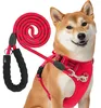 Reichstadt  RS Pets Hundegeschirr & Leinen Set 25RSP083-4 Produktbild-Vorschau 1