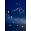 A string of warm white LED lights on a dark blue background. Produktbild-Vorschau