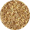 Getrocknete Soldatenfliegenlarven 2-3cm, 5 kg – Produktbild-Vorschau 2
