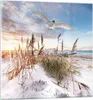 Bilder auf glas - Einteilig - Möwe Meer Küste - 30x30cm - Produktbild-Vorschau 1