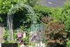 GardenAndPools Rosenbogen Paris Lilie Spitze B-2,40 m Produktbild-Vorschau 7