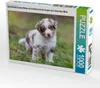 CALVENDO Puzzle Gescheckter Aussie Welpe mit strahlend Produktbild-Vorschau 2
