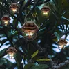Several solar-powered lanterns are hanging from tree branches. Produktbild-Vorschau