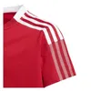 Adidas Tshirts Tiro 21 Polo, GM7346, Größe: 135 Produktbild-Vorschau 3