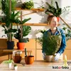 KOTARBAU® 4 pcs Tuteur Plante Tuteur Coco ⌀ 3.2 x 140 cm Voir les images du produit 3