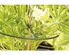 Opora kerov Vario FloraSelf Ø 40 cm, 3 ks Náhľad obrázku produktu 3