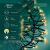 Lampade a LED a grappolo Kaemingk per esterni, 260 cm Anteprima dell’immagine prodotto 7