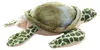 Peluche Tartaruga Marina 17 Cm Anteprima dell’immagine prodotto 3
