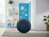 LEITZ Ergo Cosy Sitzball grau 65,0 cm Produktbild-Vorschau 10
